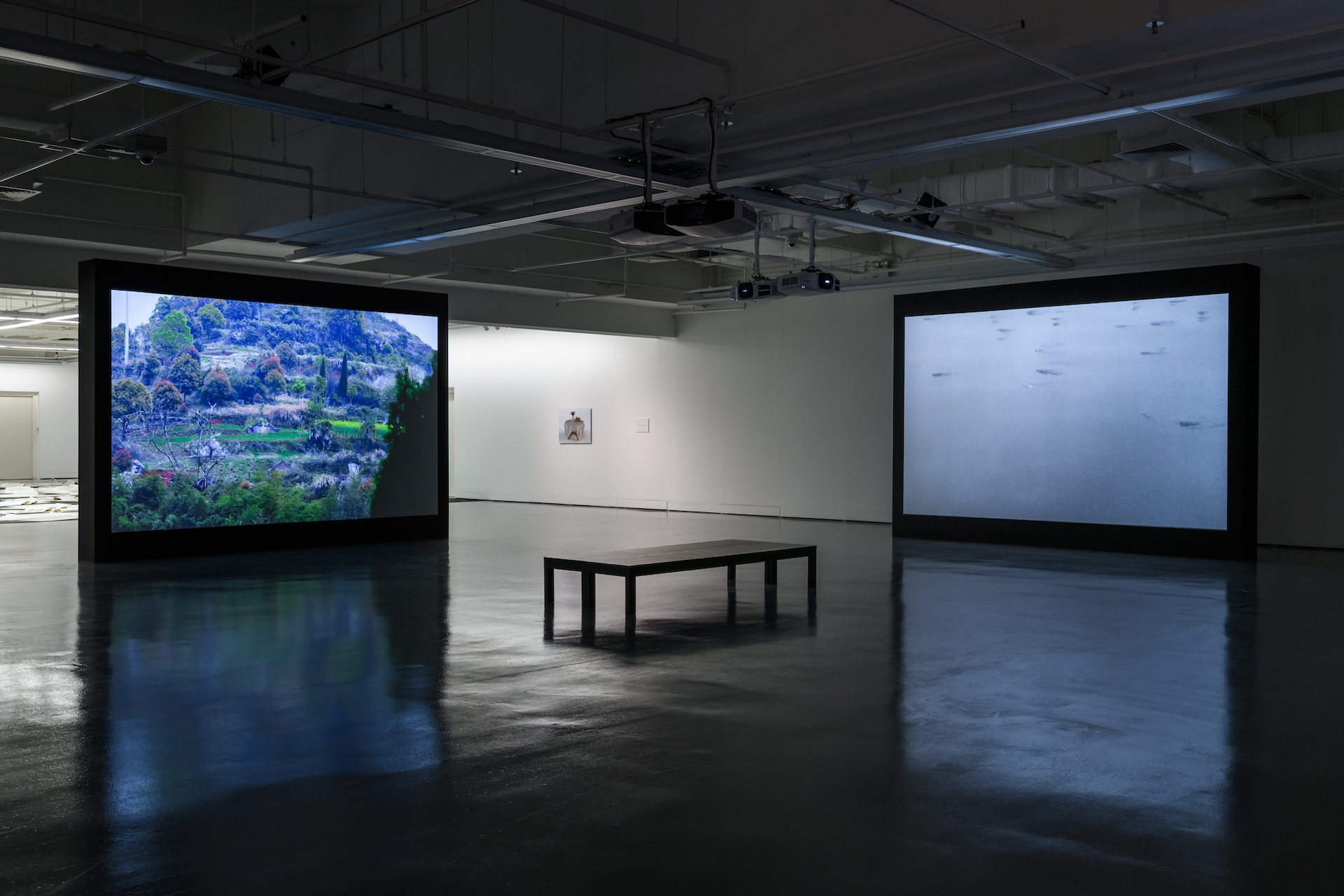 15. Installation of Nietzsche Reincarnated as a Chinese Woman and Their Shared Lives (2016–18) in the exhibition Dissolving Margins (2018–19)